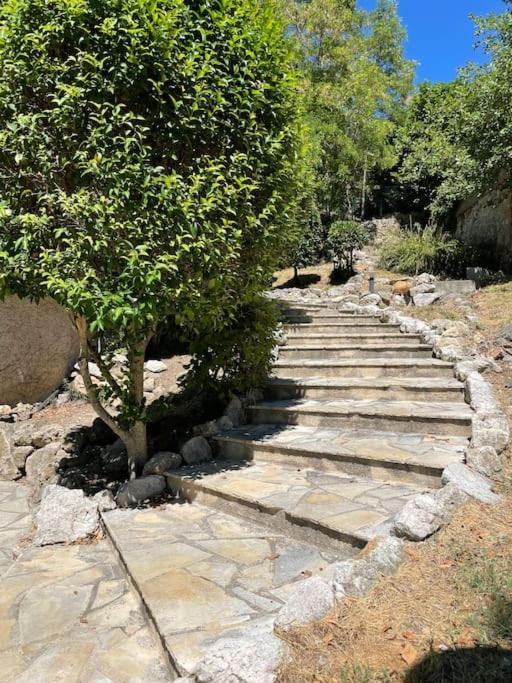Appartement 2 Pieces 6Mn A Pied Du Centre Vence Dış mekan fotoğraf